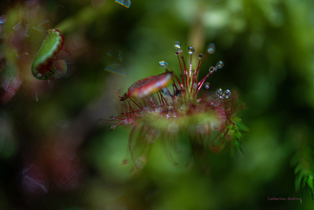 Photo de l'exposition